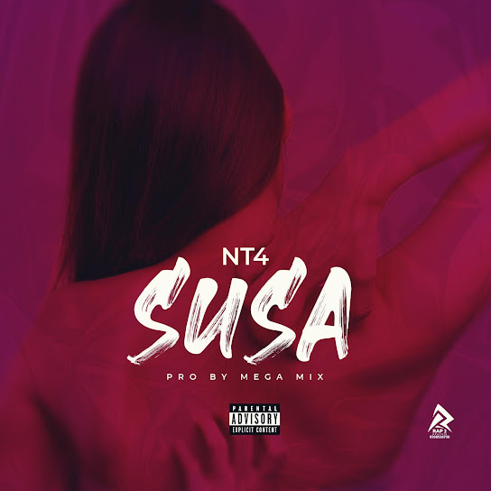 Nt4 - Susa