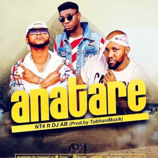 Nt4 Ft. Dj Ab - Anatare