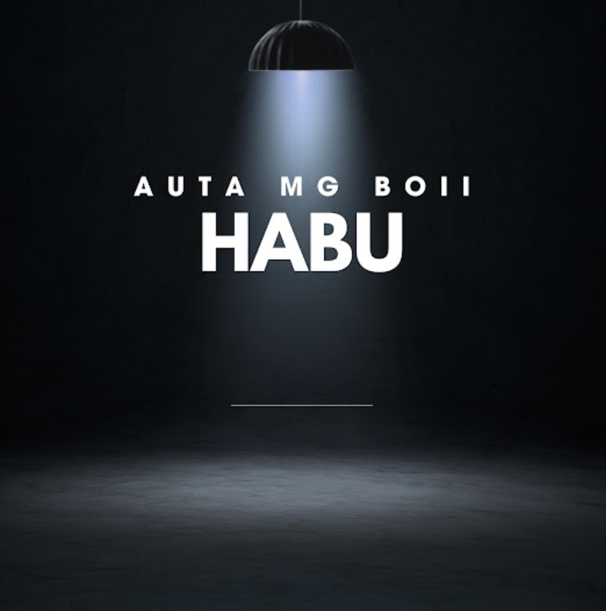 Auta Mg Boy - Habu