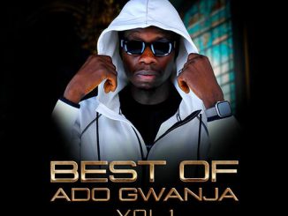 Ado Gwanja - Best Of Ado Gwanja Vol. 1 (Full Album)