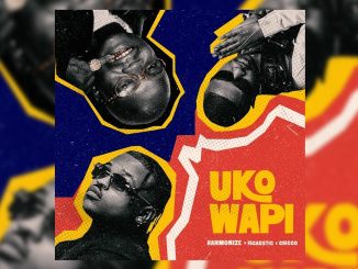 Harmonize – Uko Wapi Ft. Focalistic & Chicco